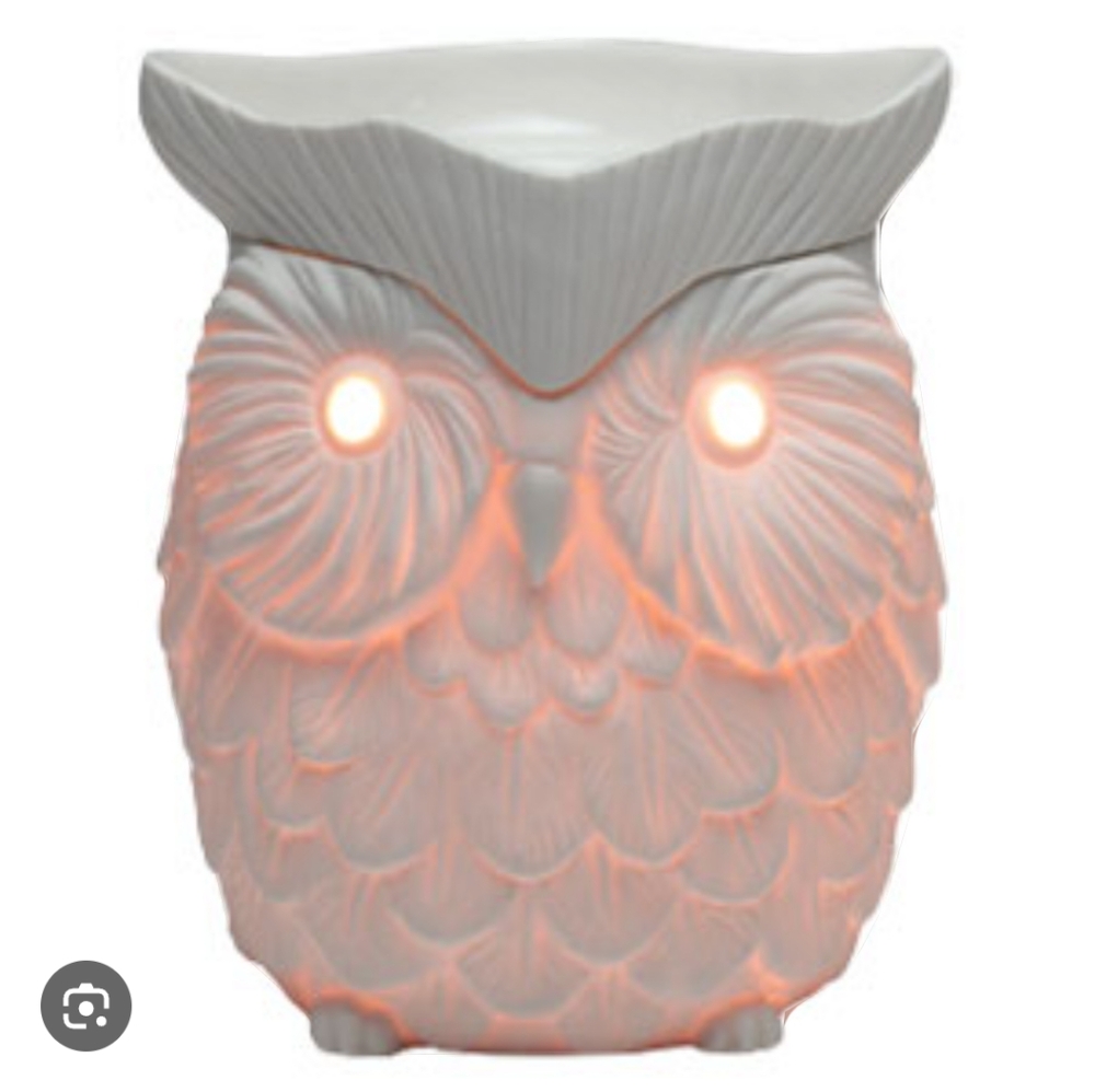 Scentsy "Whoot" wax warmer